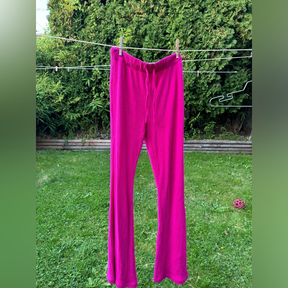 Aritzia pants